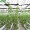 Agricultural Greenhouse Indoor Hydroponic Channels Set hydroponic growing systems