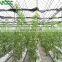 Agricultural Greenhouse Indoor Hydroponic Channels Set hydroponic growing systems