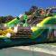 Dual Lane Inflatable Jungle Water Slides For Sale