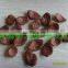 Kellogg's Corn Flakes Extruding Machine Breakfast Cereal Oat Snack Processing Line