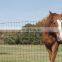 3mm Farm Fence / Cattle Fence Netting / Grassland Fence