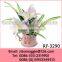 Belly Shape Professional Wholesale Ceramic Flower Vase and Flower Pot