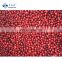 Sinocharm BRC-A Approved red color IQF Frozen Lingonberry