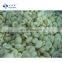 Sinocharm Frozen Fruits  BRC A Approved BQF Peeled Frozen Grape