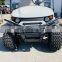2022  newest hot sale cheap 2 seats 4seats  electric golf /buggy carts with curtis controller
