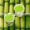 Electric Stainless steel sugar cane juicer battery type sugarcane juicing making machine