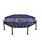 round trampoline with tent and Professional Gymnastics Fitness Mini Trampoline With Handle Bar for sale from china