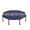 round trampoline with tent and Professional Gymnastics Fitness Mini Trampoline With Handle Bar for sale from china