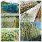 Wholesale quality  plastic anti insect net 32 mesh 55 grams for agricultural greenhouses