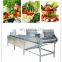 Máquina de procesamiento automática de frutas y verduras/Equipamiento/Máquina de lavado de frutos rojos