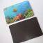 Souvenir Promotional Gifts 3D Lenticular Fridge Magnet