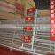 Huaxing factory high quality cages for chickens