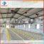 environmental controlled automatic prefabricated broiler poultry farm houses design