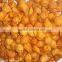 Automatic pellets 2d fried snacks food production line with different shapes