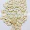 bulk vegetable seeds china shine skin pumpkin seeds grade a