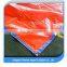 Make-to-order PE Tarp fabric wholesale tarpaulin with eyelet Striped Tarpaulin