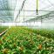 Agricultural Greenhouse Sprinkling Irrigation