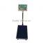 Waterproof TCS Electronic Platform Scale 300Kg