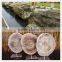 Luxury Natural Polished Big Slab Petrified Wood Fossil Semiprecious Stone Quality Choice