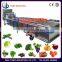 High pressure vegetable fruits washer used for small scale industries machines                        
                                                Quality Choice