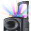 15 inch classical Karaoke professional Plastic speaker