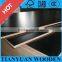 Best selling container plywood for Vietnam