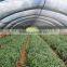 (20 years factory) new arrival, fruit cultivation shade netting 75% / 10175-150