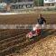 small grass in the row weeding weeder machine farm cultivator hilling up