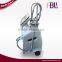 500W Cryolipolysis/Cryolipolysis Fat Freeze Slimming Machine/cryolipolysis Weight Loss Machine Loss Weight