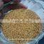 2016 Medicago Sativa Seeds/Alfalfa Seeds for Sprouting Use