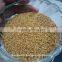 2016 Medicago sativa seeds/Alfalfa Seeds for Sprouting Use