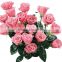 Wholesale Fresh Cut Rose Flowers Roses for Valentine's Day