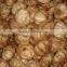 Good price aged black garlic extract liquid With Service