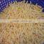PT-2000 Full Automatic Industrial Vegetable Blanching Blancher Sterilizer Machine