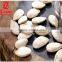 Chinese Best Price White Pumpkin Seeds