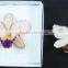 Real Flower Brooch
