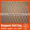 fruit tree anti hail net,hail protection net