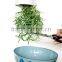 Sky Planter Upside Down Indoor Plant Pot