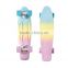 New Design longboard cruiser skateboards with CE