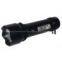 Feiren Rechargeable Torch light SQ-9008