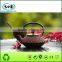 CHINESE CAST IRON TEAPOT