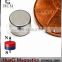 N42 Neodymium Magnet Dia 1/4 x 3/16" NdFeB Rare Earth Disc Magnet