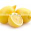 Stainless steel auto pomegranate /  apple /  lemon /  orange juice extractor