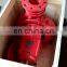 ISA125-50 Electrical agriculture swimming pool water pump