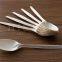 Eco-friendly disposable food spoons