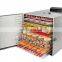 10 layer Mini commercial small scale pineapple tomato potato mango vegetable fruit electric food dehydrator price