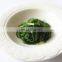 Kosher BQF Frozen Seasoned Wakame Seaweed Salad