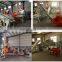 Almond Dry Bean Peeling Chocolate almond peach core production line machine