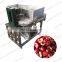 apricot pitting machine from Elva