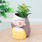 Manufacturer Creative Cartoon Meaty Resin Pot Garland Home Gardening Desktop Girl Flower Pots For Plant Flowers